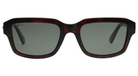 SCOTT SC3232 KENDALL C2 53 SUNGLASSES