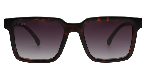 SCOTT SC3264 C2 54 SUNGLASSES