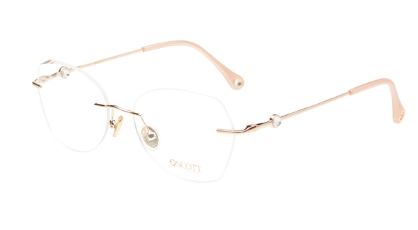 SCOTT SC5742 C2 53 FRAME