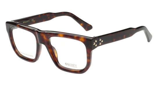 SCOTT SC7053 C2 54 FRAME