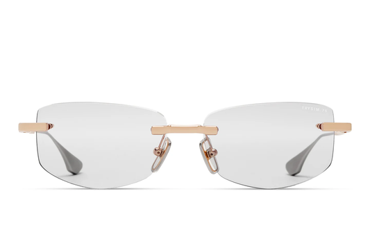 DITA DTX182A  TRYSIM.75 01 56 FRAME