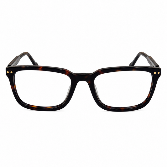DAVID JONES DJ0415 C11 53 FRAME