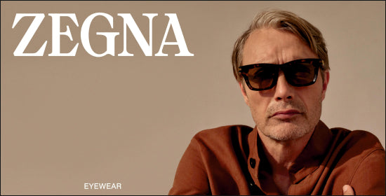 Zegna banner