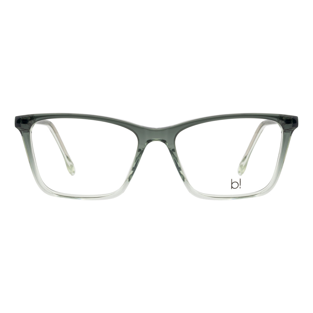 DAVID JONES BI2323 C5 53 FRAME