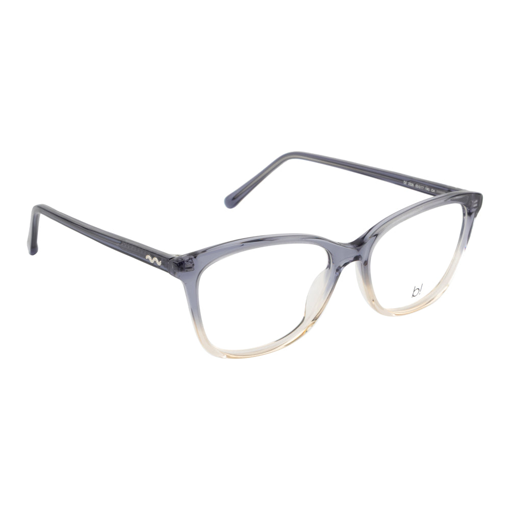 DAVID JONES BI2326 C4 53 FRAME