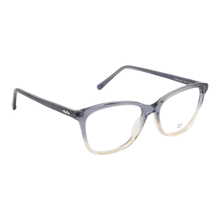 DAVID JONES BI2326 C4 53 FRAME