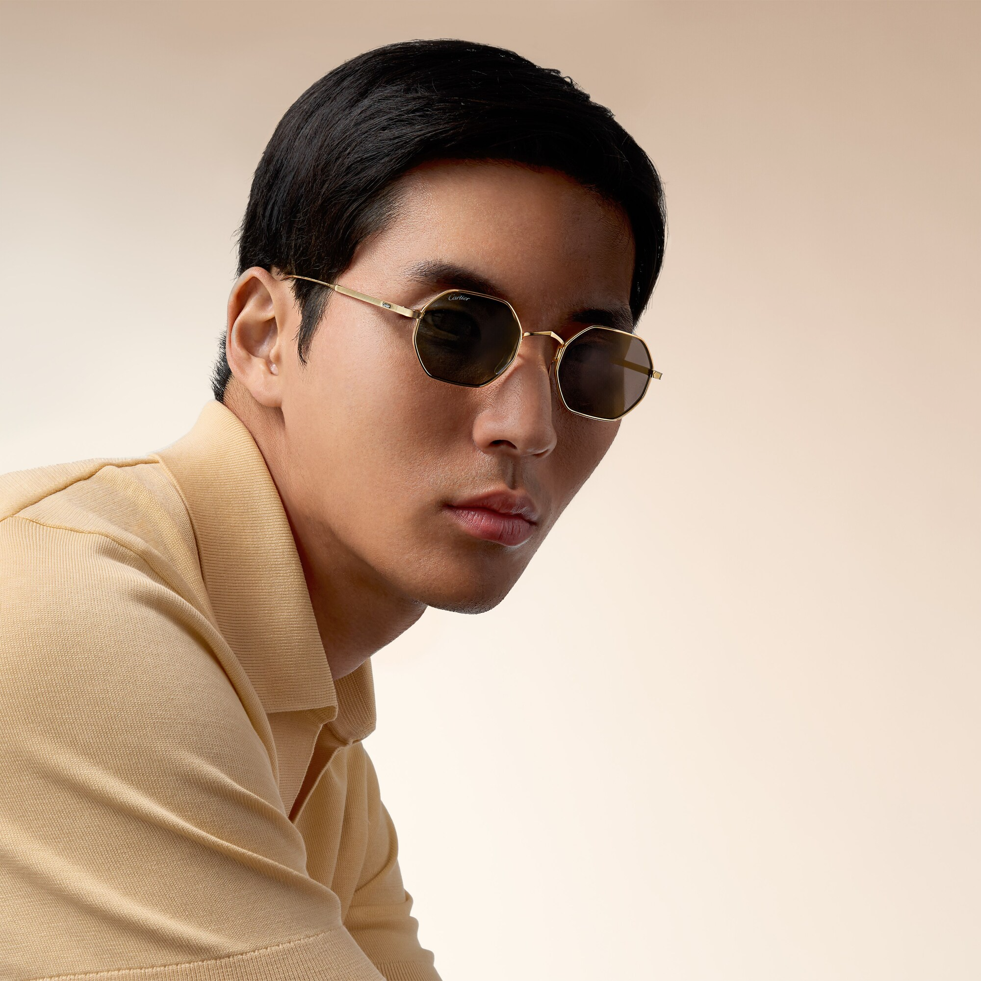 CARTIER CT0627S 001 48 SUNGLASSES