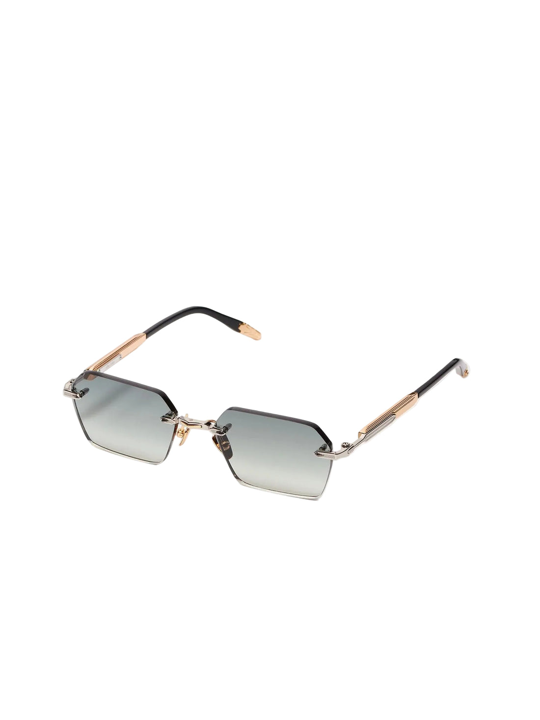 JOHN DALIA R03 C409 55 SUNGLASSES