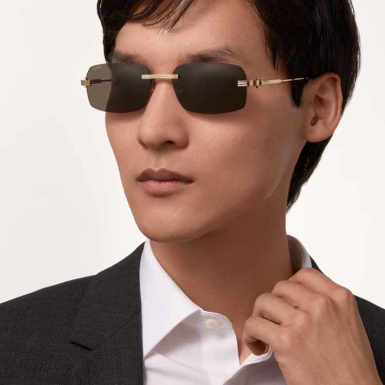 CARTIER CT0271S 007 58 SUNGLASSES