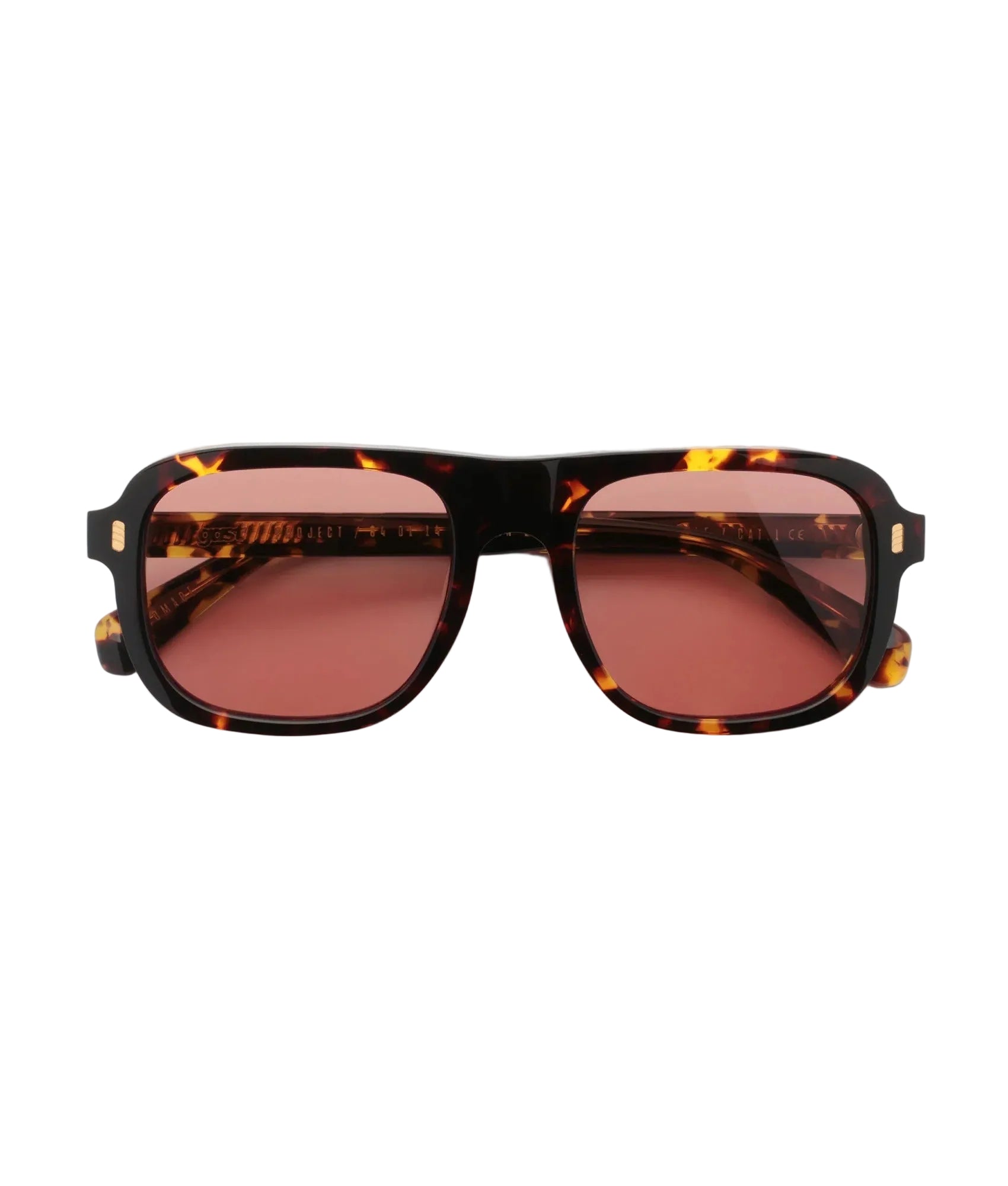 GAST SYNTRA NTR04 53 SUNGLASSES