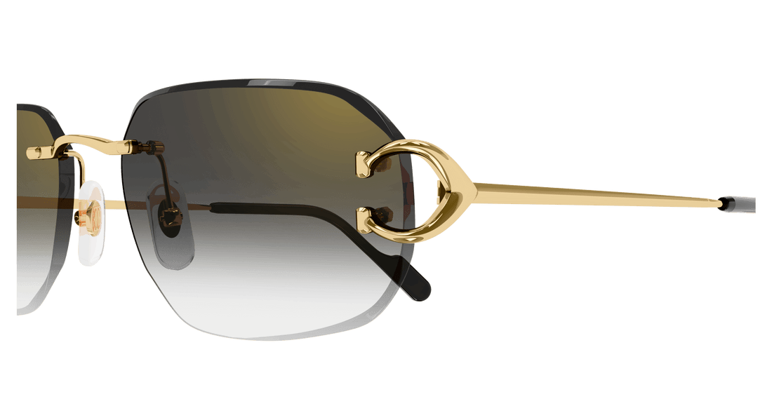 CARTIER CT0468S 001 58 SUNGLASSES