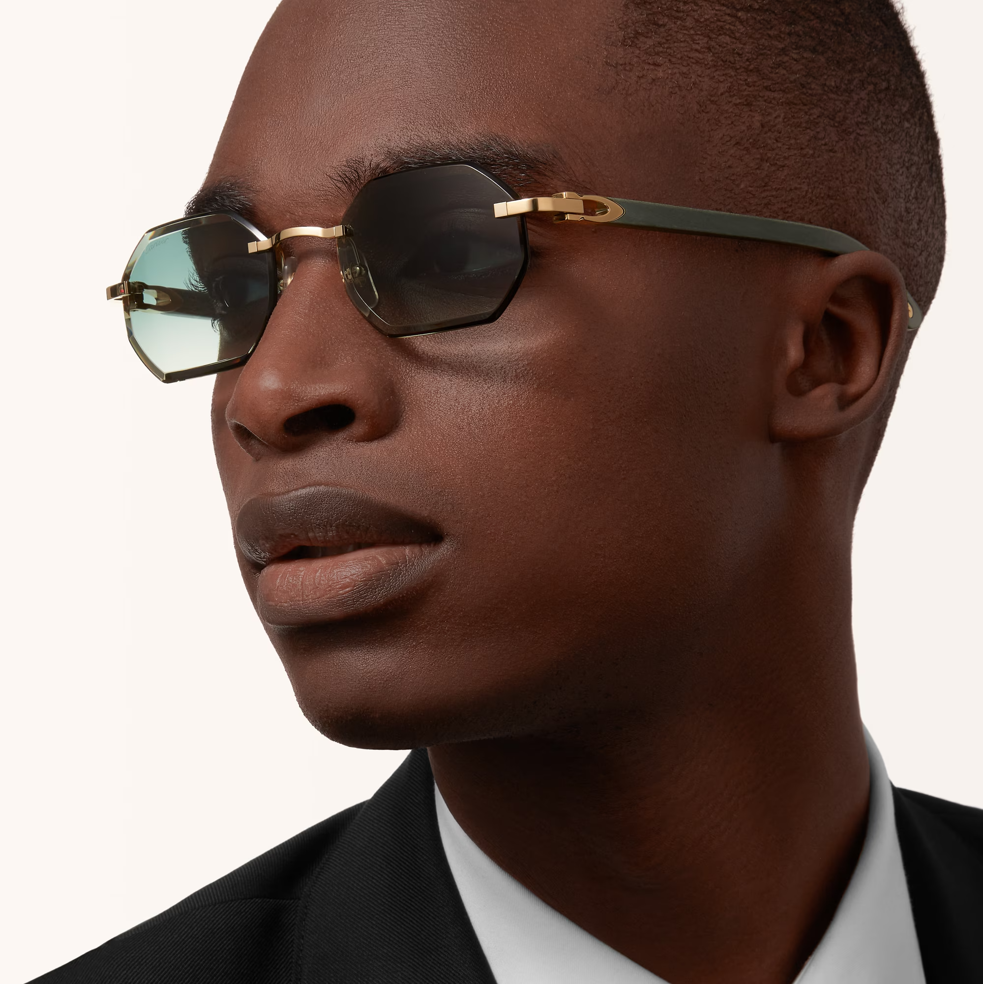 CARTIER CT0439S 004 54 SUNGLASSES