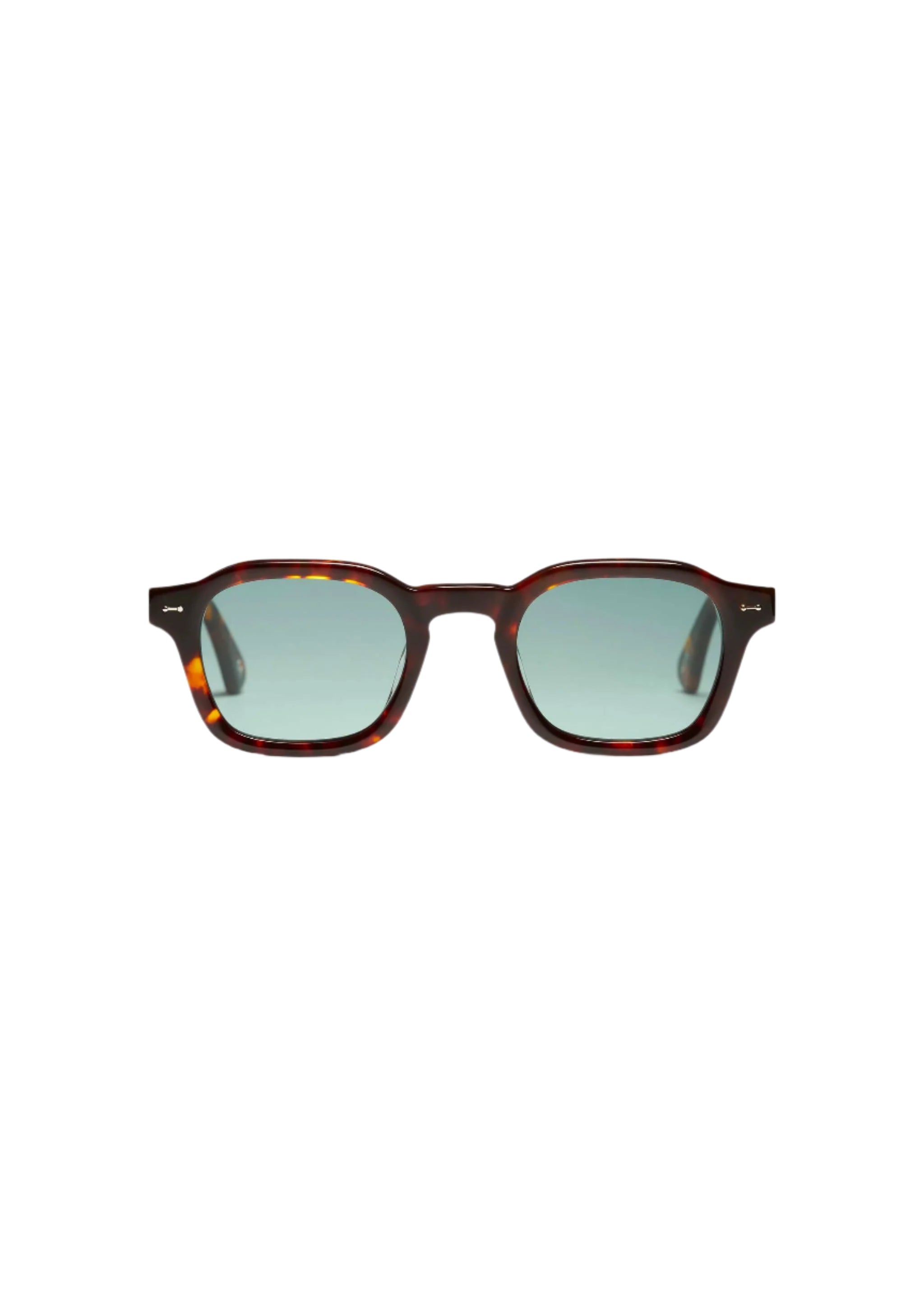 PETER AND MAY S98 SUN HERO TORTOISE GRN 46 SUNGLASSES