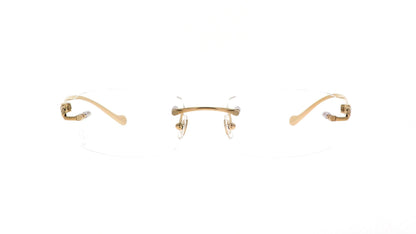 CARTIER CT0061O 002 53 FRAME