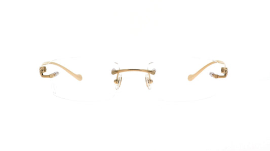 CARTIER CT0061O 002 53 FRAME