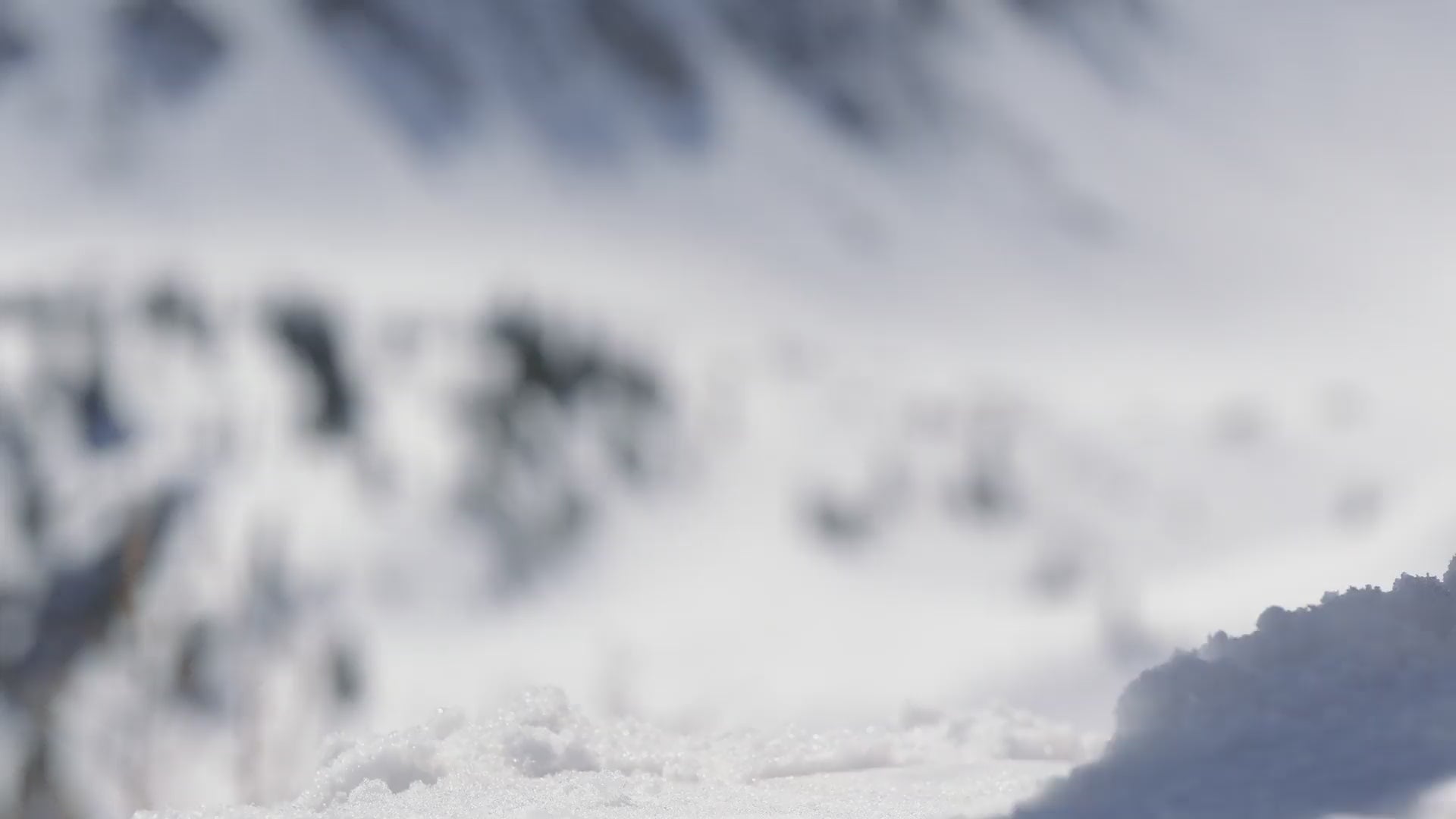 OAKLEY OW8001 04 52 META SUNGLASSES